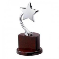 Trophies Plaques Awards